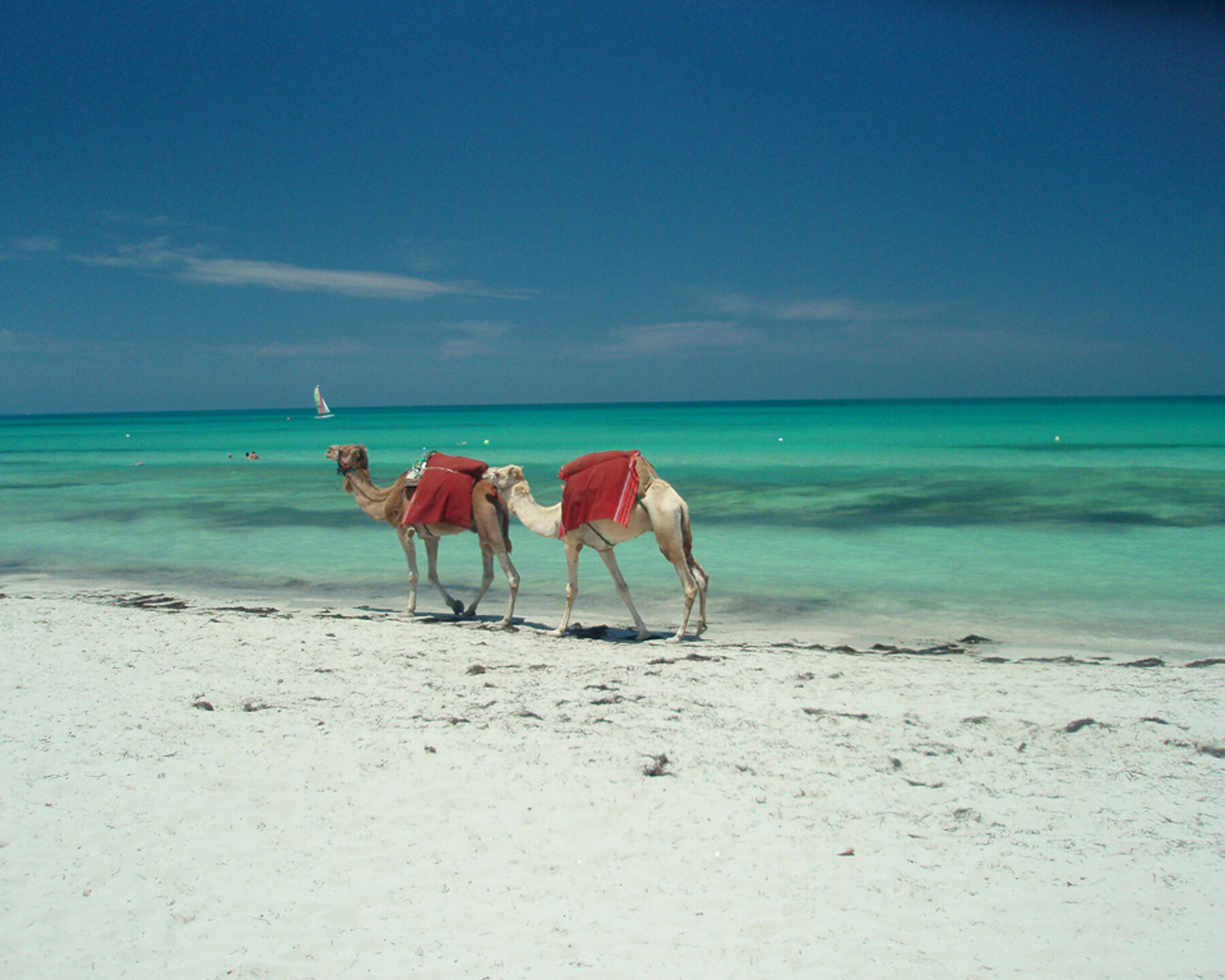 cose da vedere a Djerba