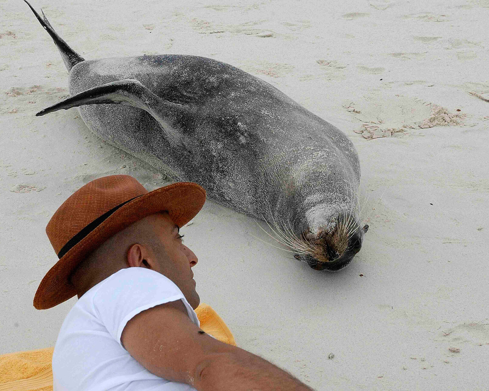 cosa vedere alle Galapagos