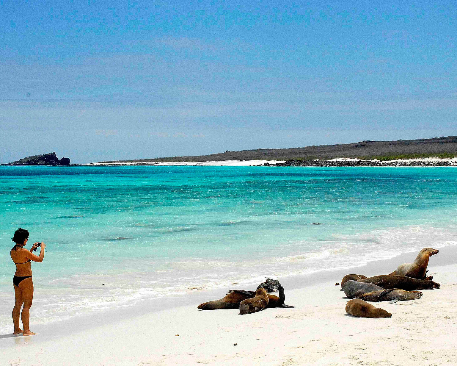 Viaggio alle Galapagos