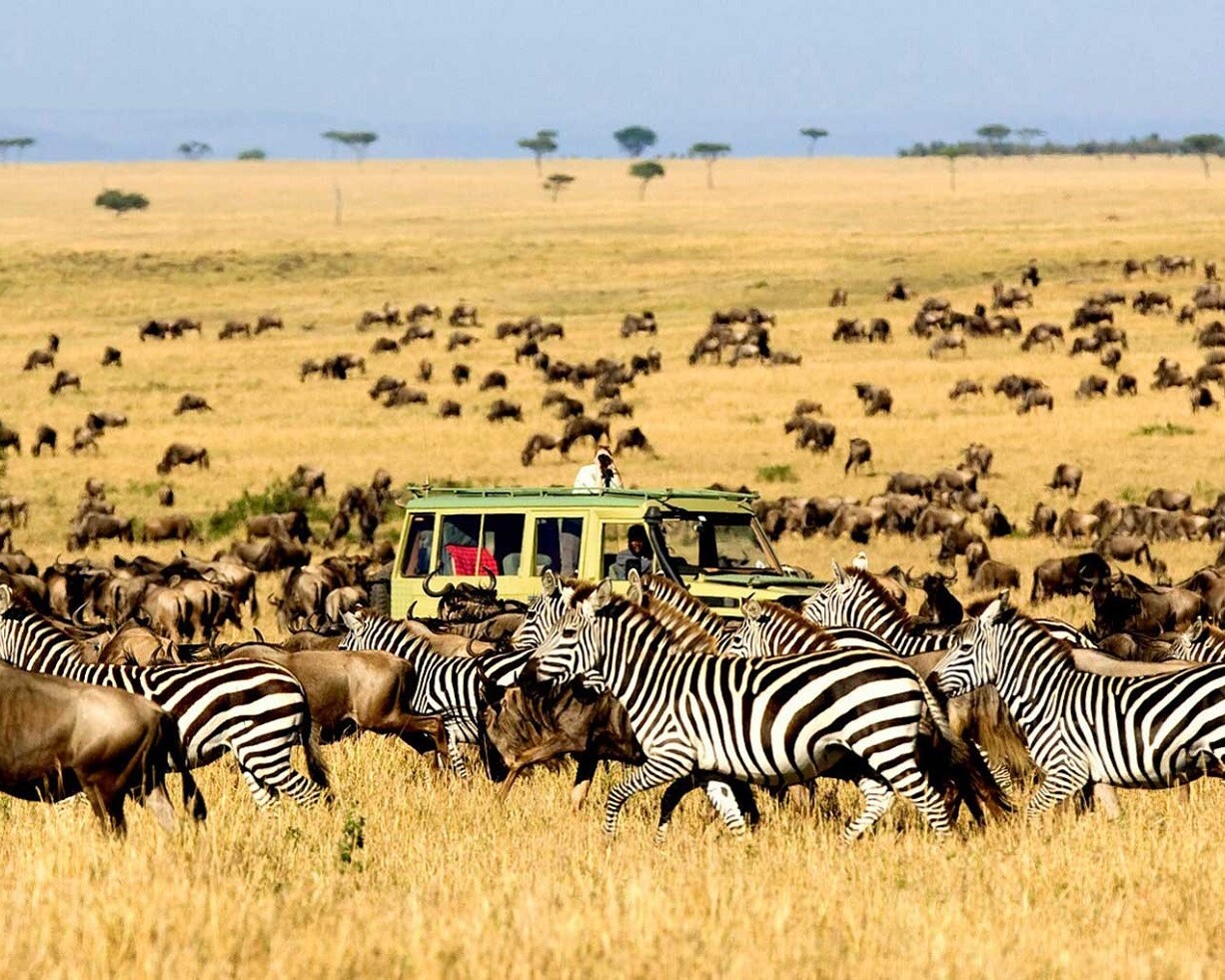 Viaggio in Tanzania