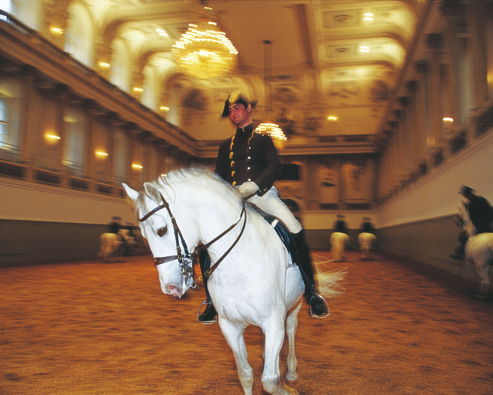 cose da fare e vedere a Vienna