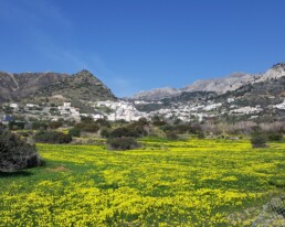 isole greche a primavera