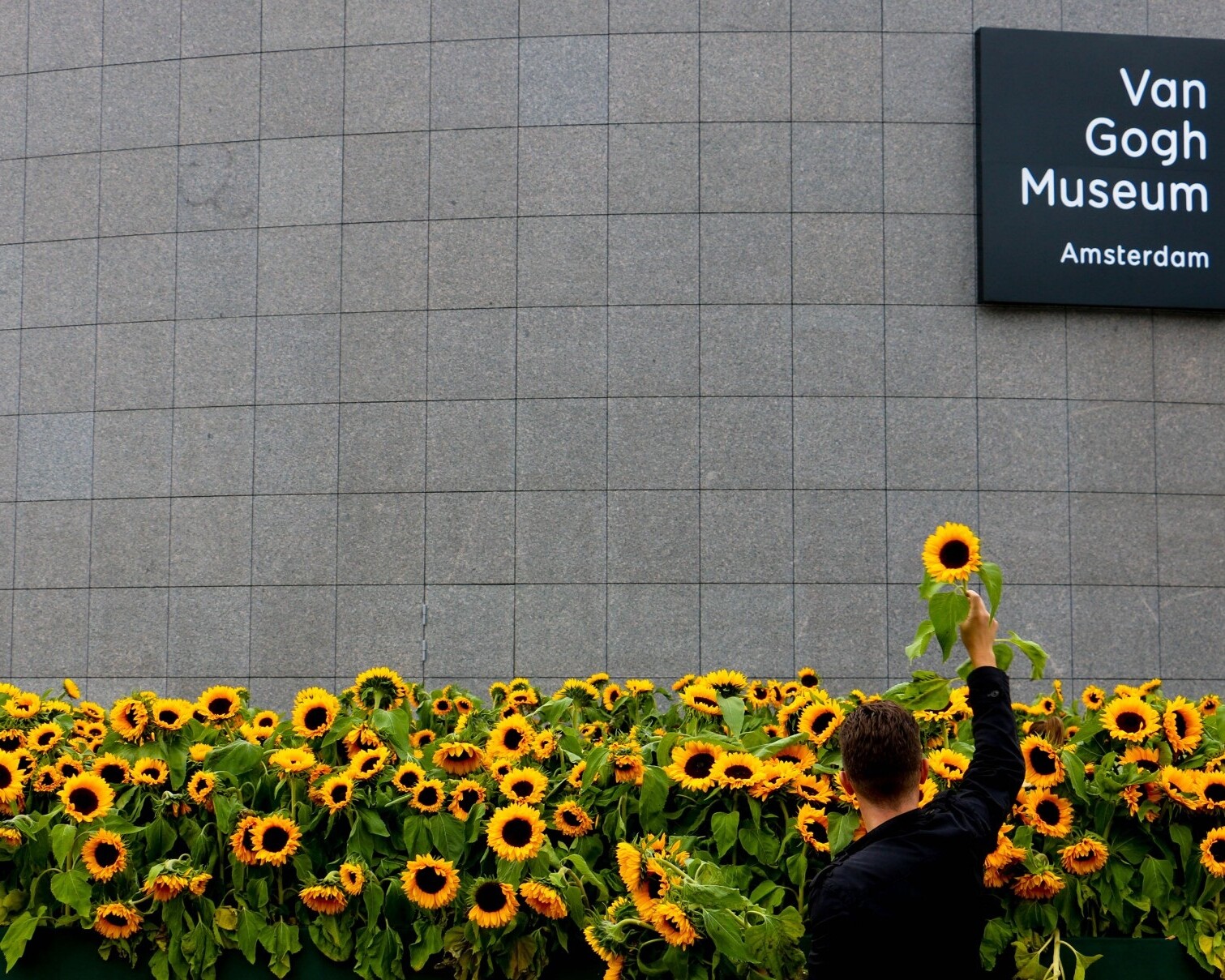 musei di Amsterdam