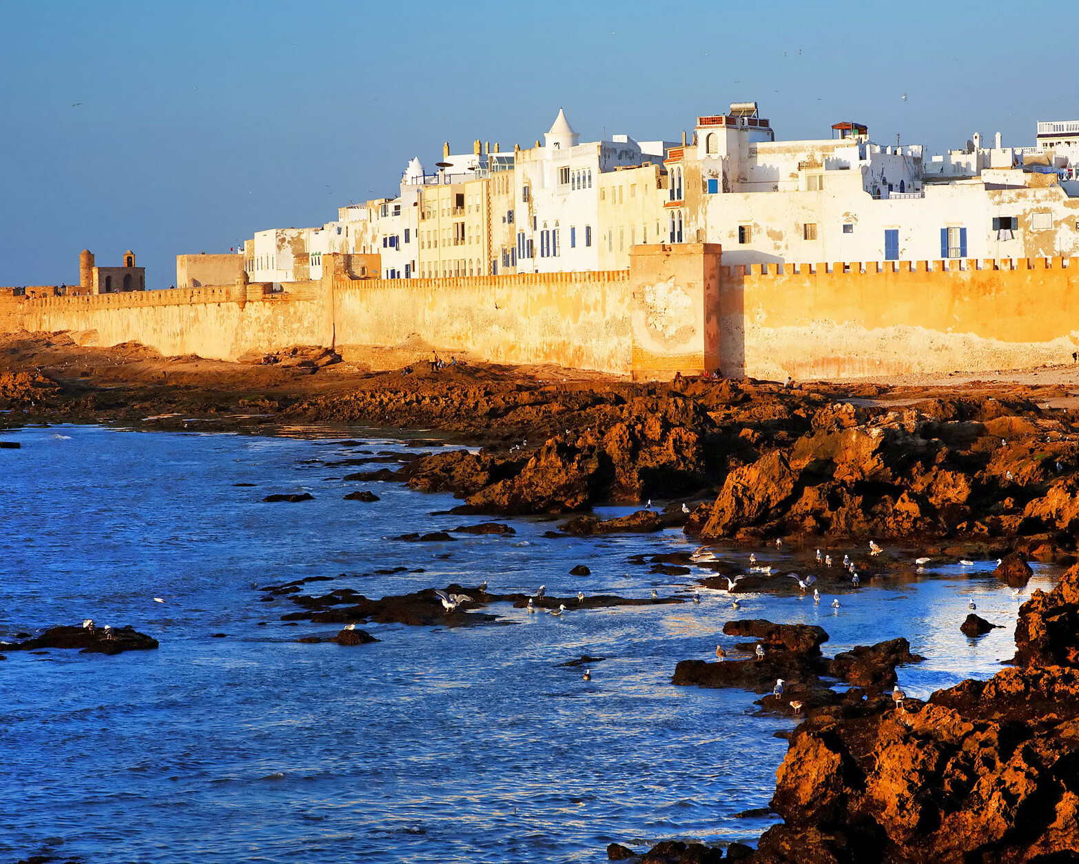 vedere a Essaouira